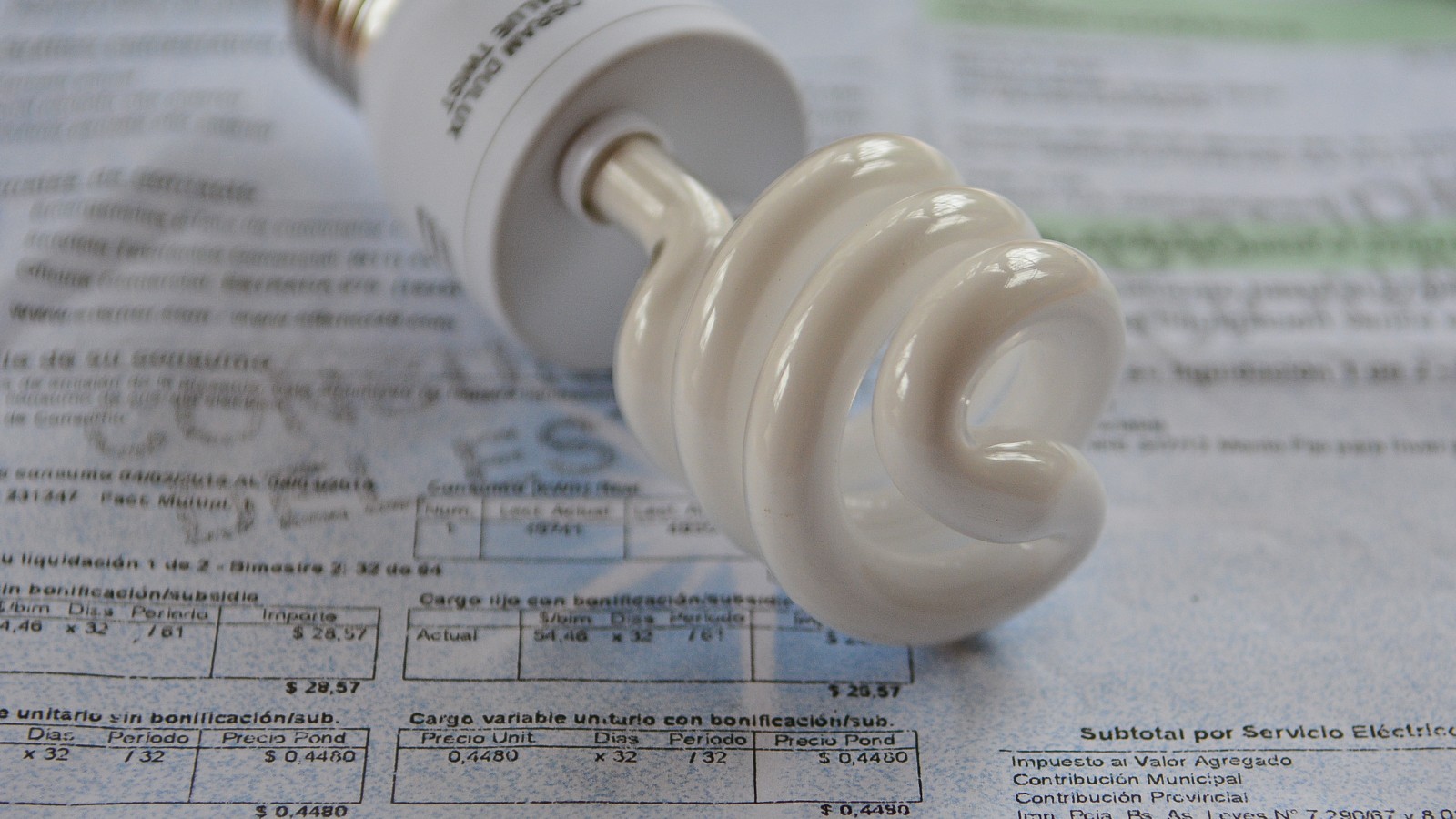 Royón explicó que Milei dio de baja una licitación que hubiera evitado los cortes de energía